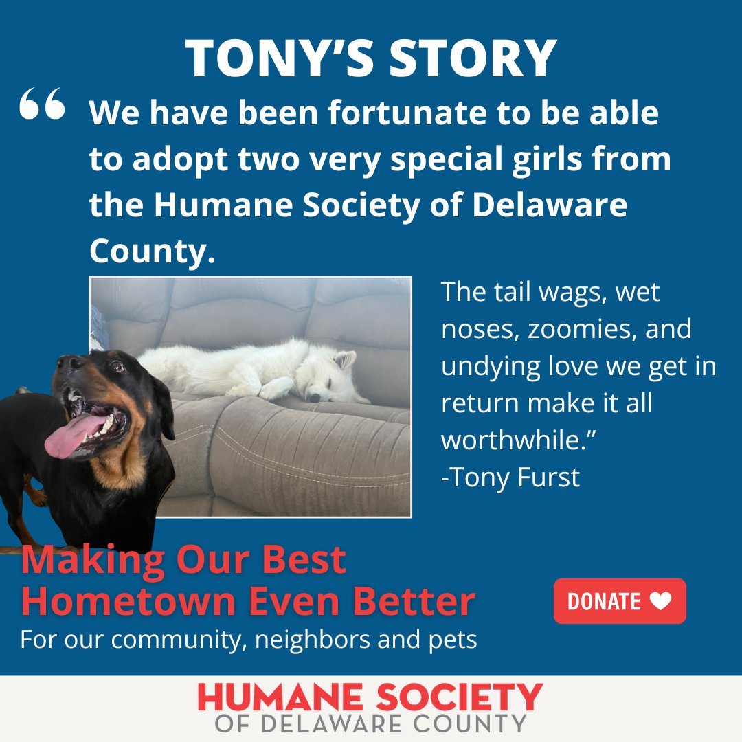 Humane - When Tony and his family welcomed two breeder rescues from ...