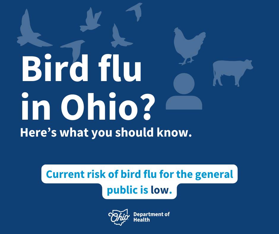 Allen - Bird Flu is a viral disease of domestic poultry and wild birds ...