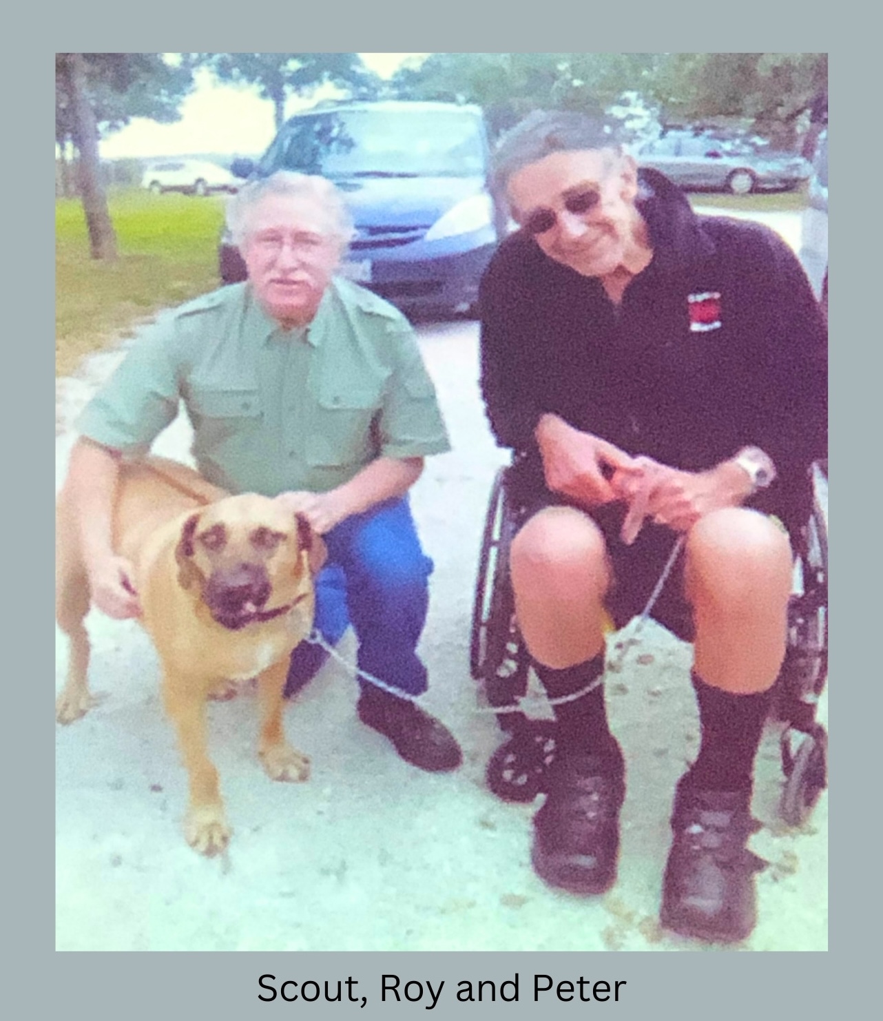 Texas Independent Rhodesian Ridgeback Rescue | Paradise TX