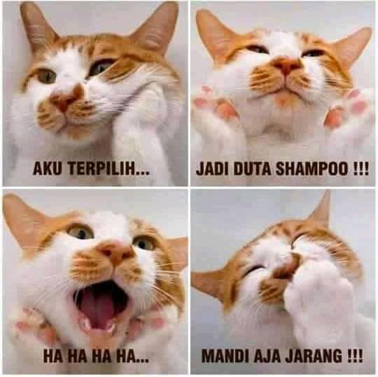 Gokil Home Facebook