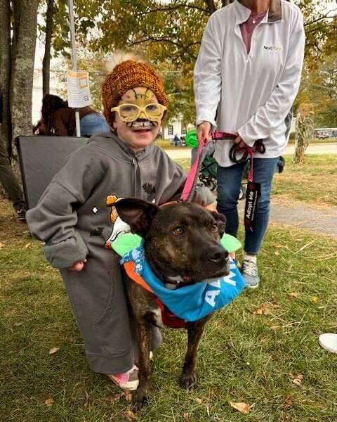 Second Chance Ranch Rescue... - Second Chance Ranch Rescue NH