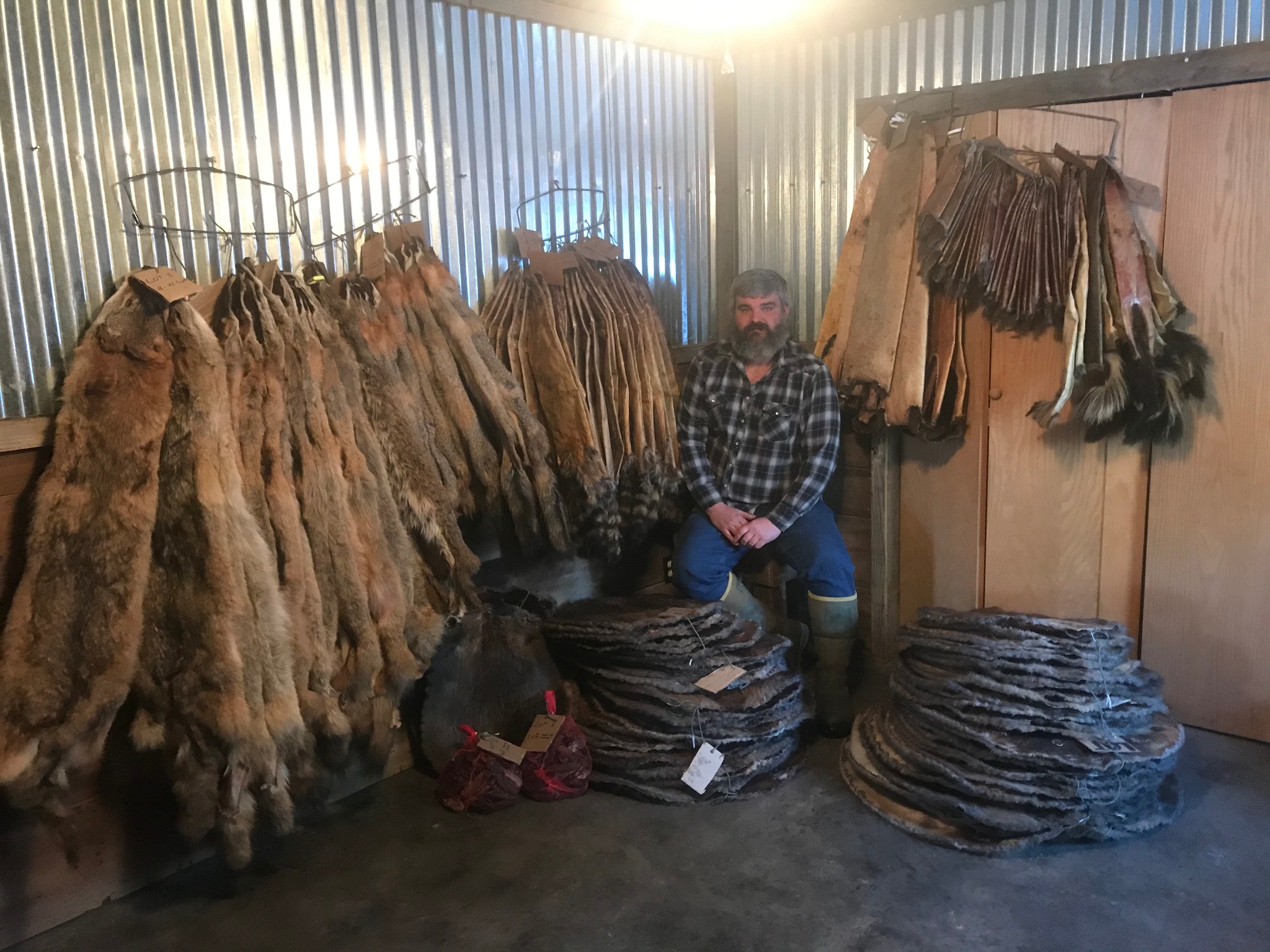 An Arkansas Trapper