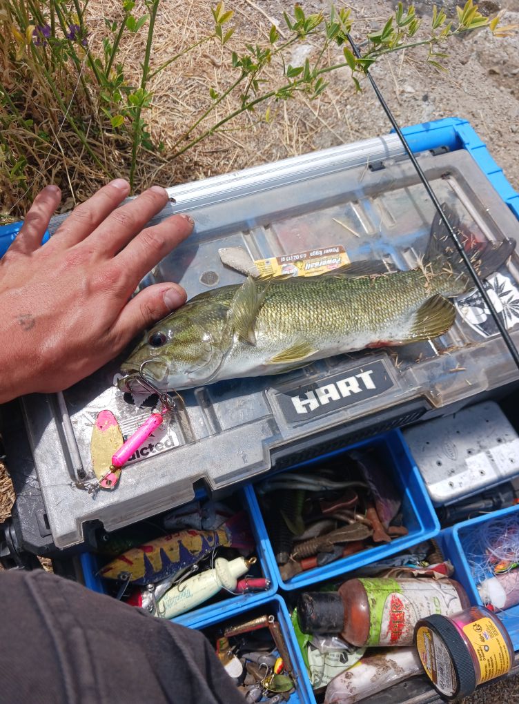 dam tackle box Baitium XTRAseal Waterproof Fishing Organizer, Tackle Boxes With Dividers, Tacklebox for Fishing, 3600 3700 Tackle Tray, Fishing Gear The KastKing HyperSeal Tackle Box is Fully Waterproof and Designed to Keep your Gear Secure and Protected. Waterproof Case