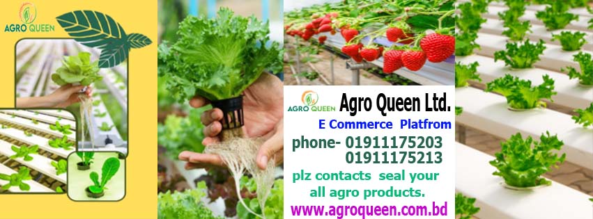 Agro Queen Ltd