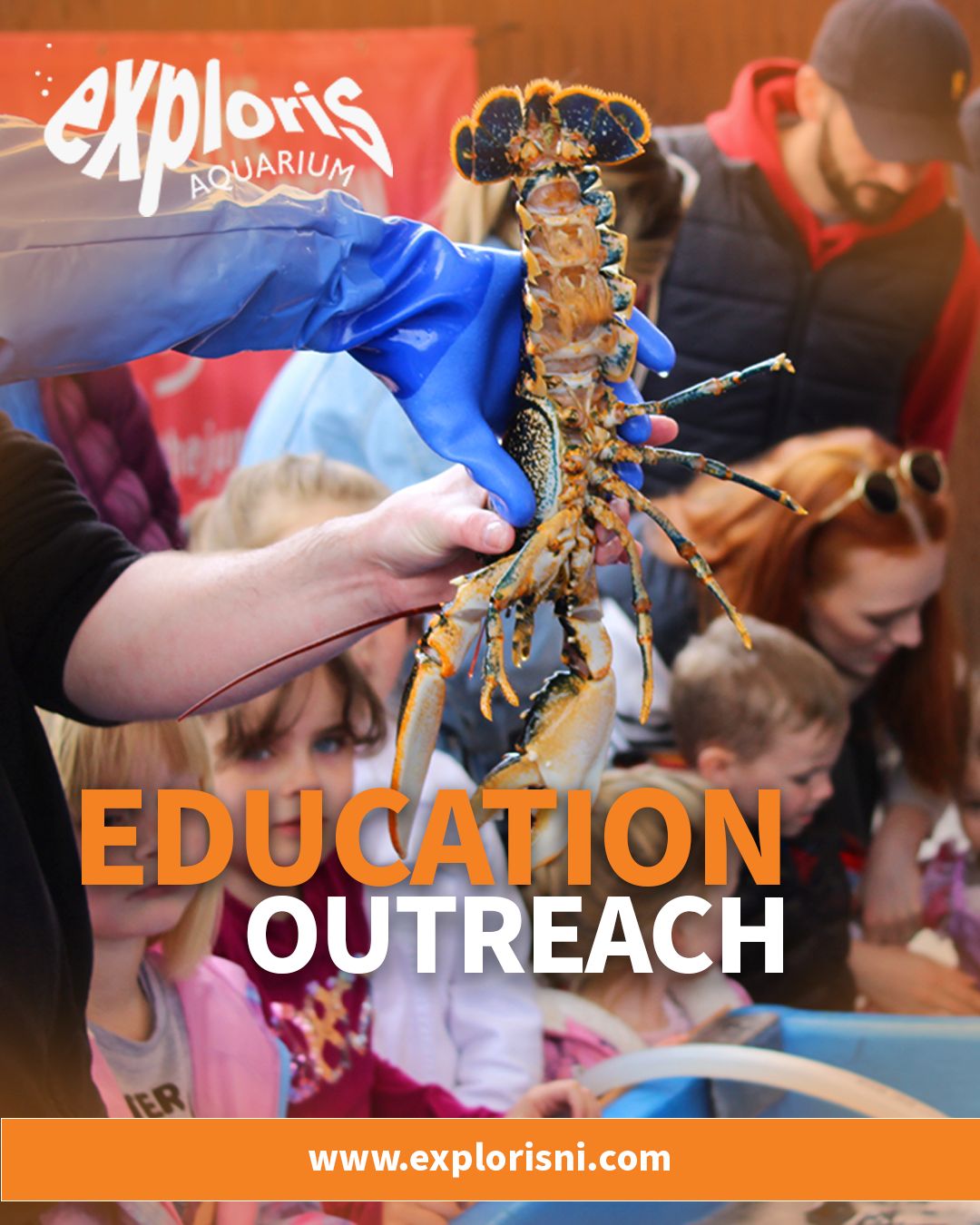 Exploris Aquarium | Portaferry