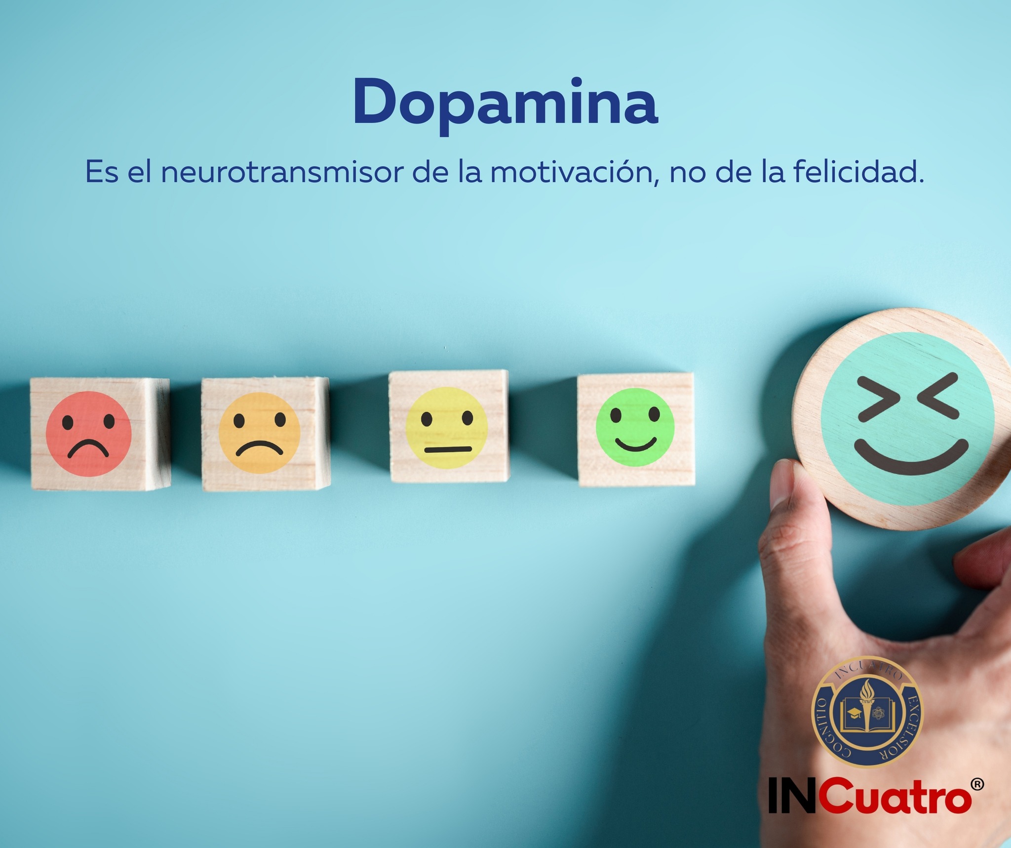 😊DOPAMINA😊 La dopamina es un neurotransmisor fundamental en el cerebro ...