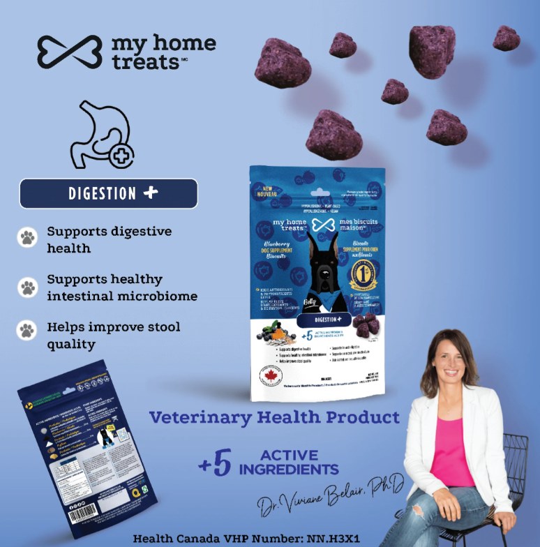 l carnitine poop L-Carnitine: Benefits, side effects, and dosage l carnitine poop Bernie's, Digestive
