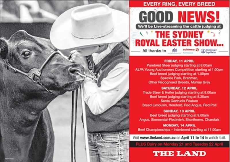 Australian Galloway Family, Shows & Field Days Dates 2026 | Facebook