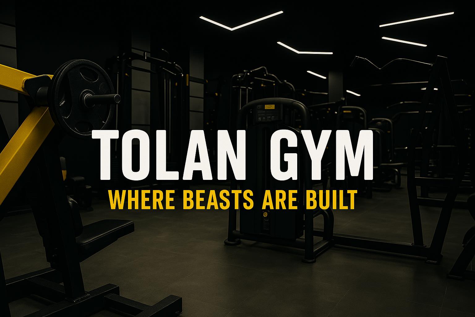 Tolan gym