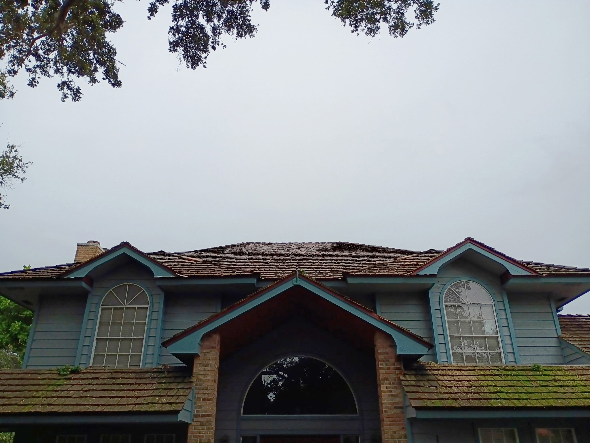 Treasure Coast Tree & Land Services | Vero Beach FL