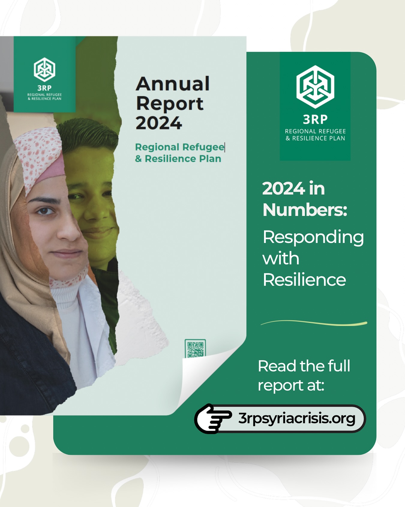 The Regional Refugee and Resilience Plan - 3RP