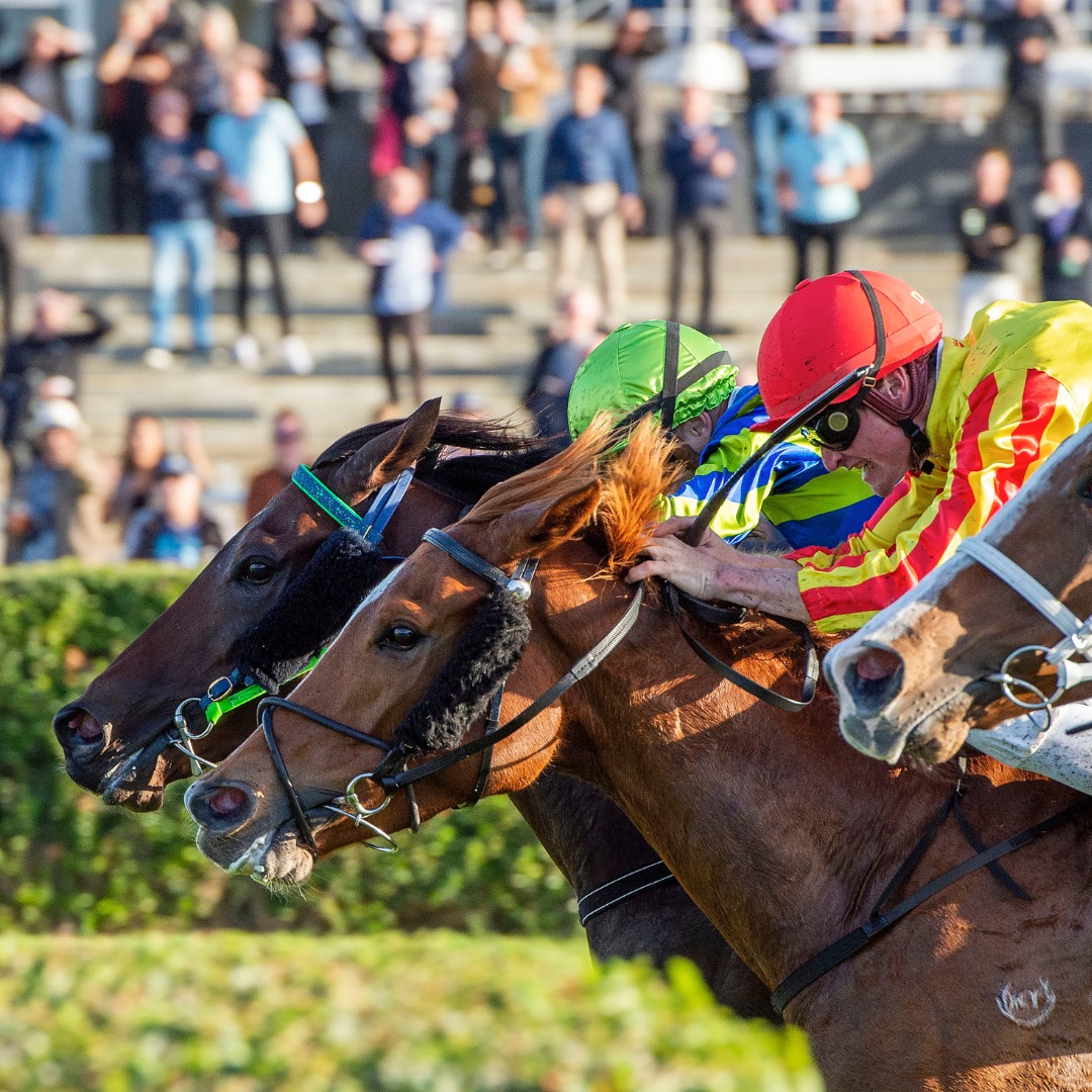Perth Racing - Need a ride to TABtouch Perth Cup Day on Saturday 4 ...