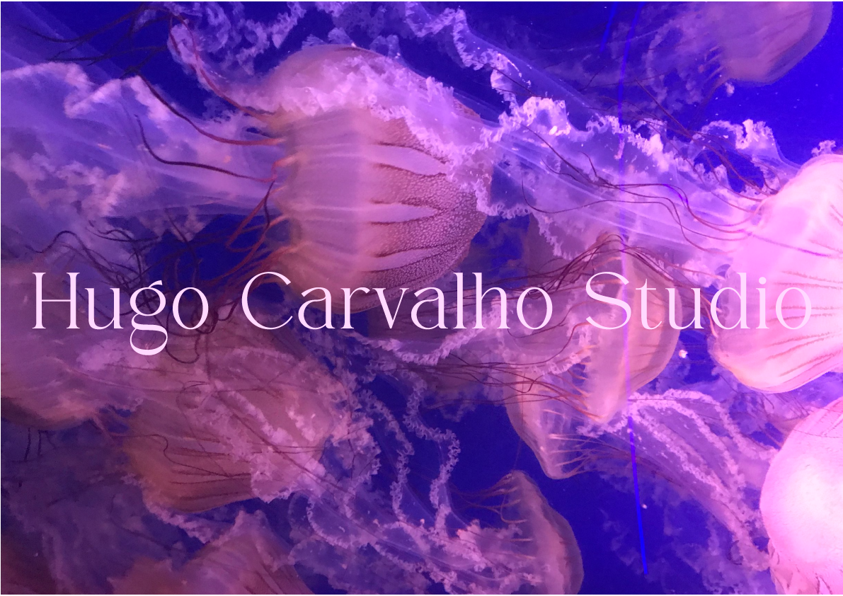 Hugo Carvalho Studio | Milan