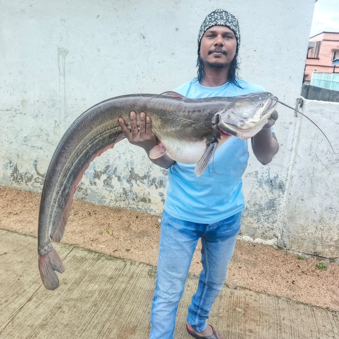 RAHU FISH HUNTING WITH TRIPLE HOOK 🪝 INCREDIBLE HUNTING SKILLS 🎣🐟🏹AT MY ...