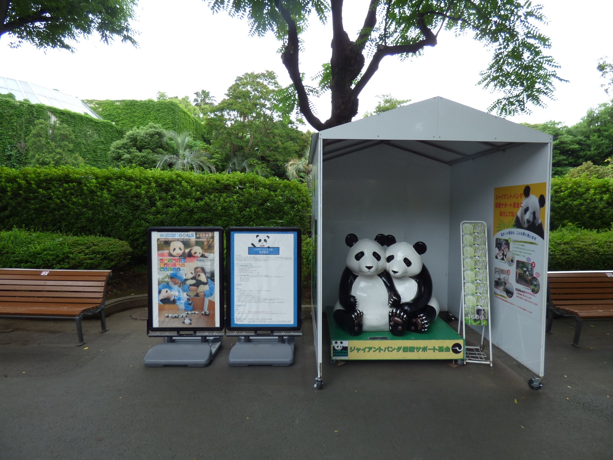 UNDP Tokyo - ☆上野動物園にUNDPパンダ大使キャンペーンコーナーが設置！☆ UNDPは持続可能な開発目標（SDGs）キャンペーン ...