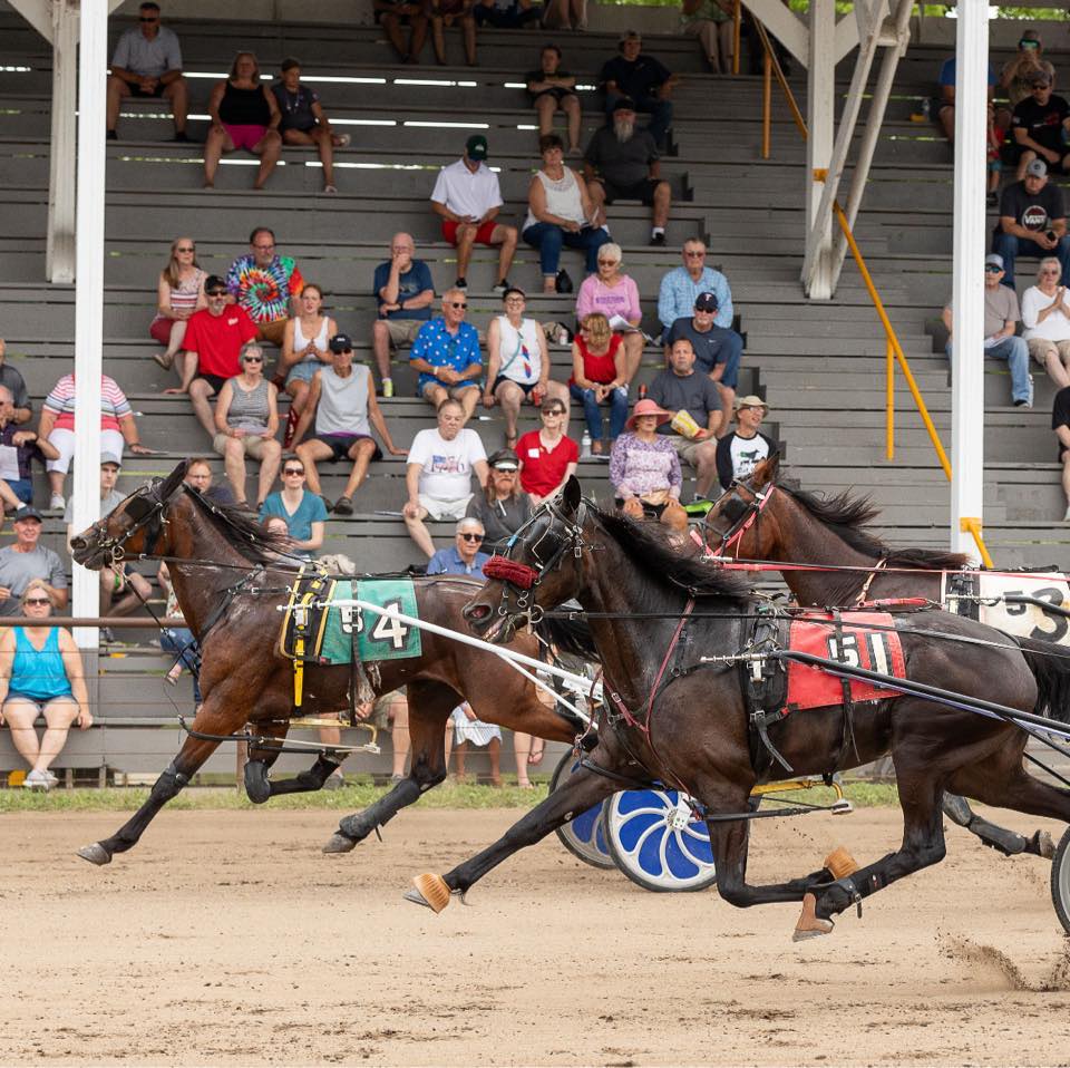 Minnesota Harness Racing,... - Minnesota Harness Racing, Inc