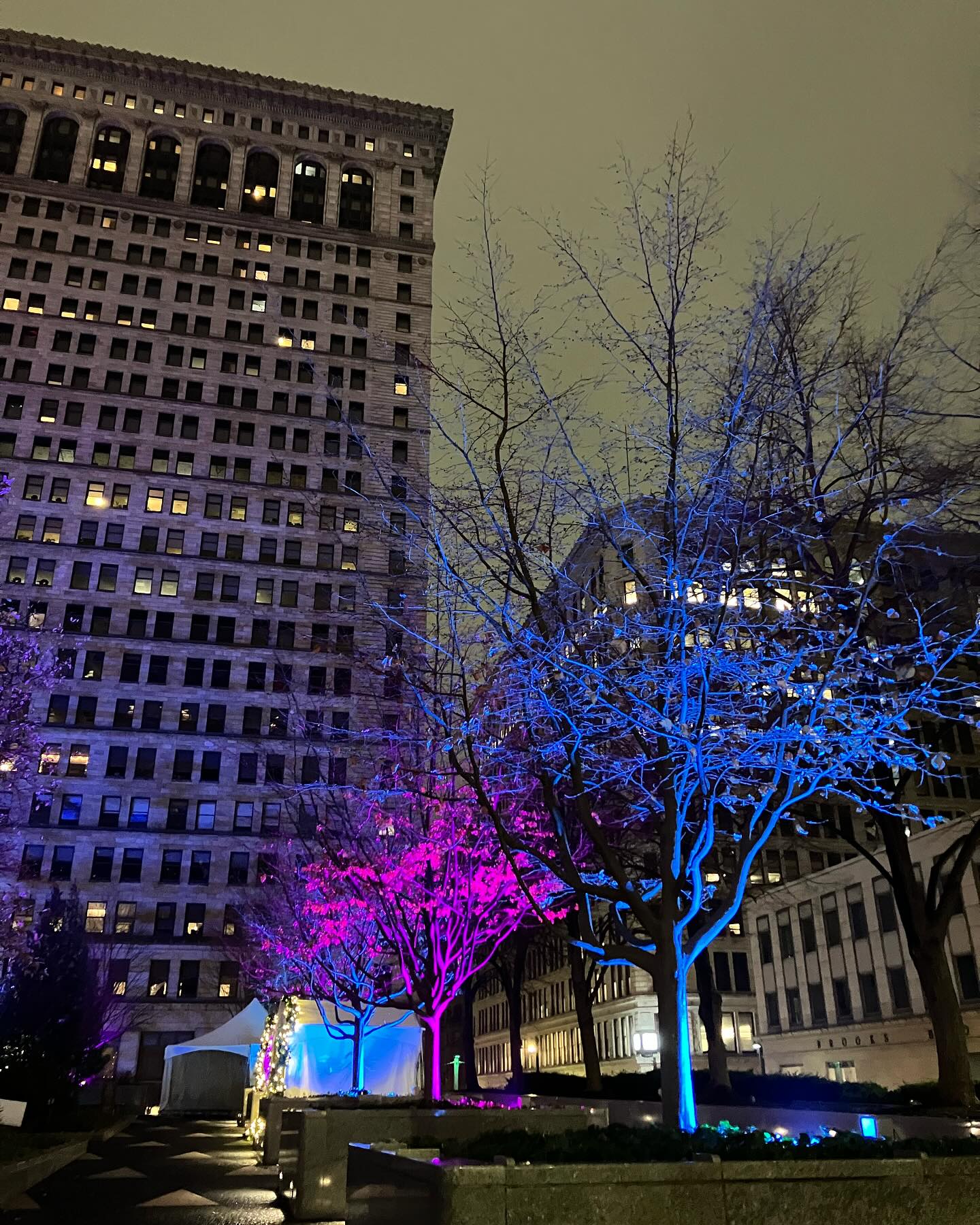 CDH Designs | Emporium PA
