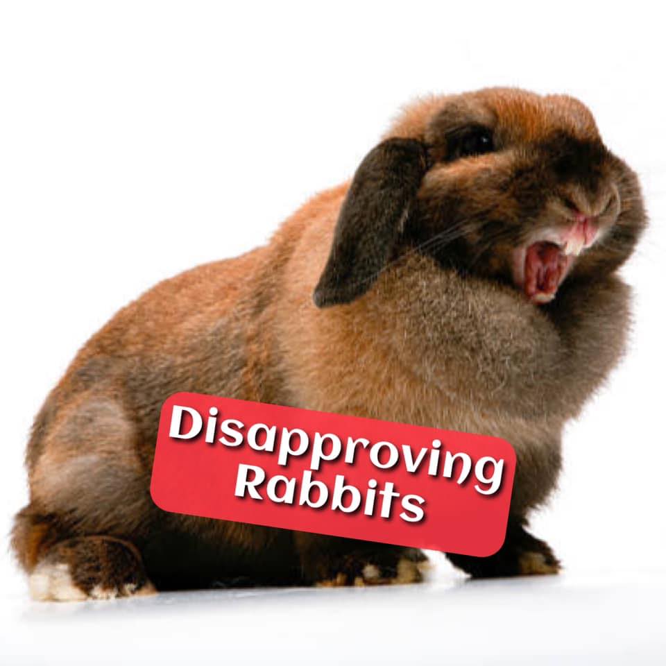 Disapproving Rabbits