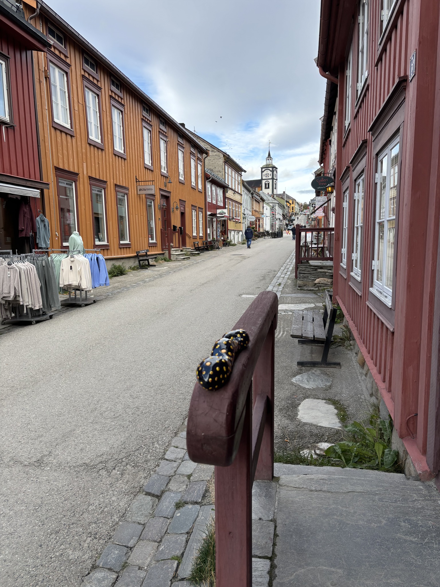 Røros og Østerdalen | Røros
