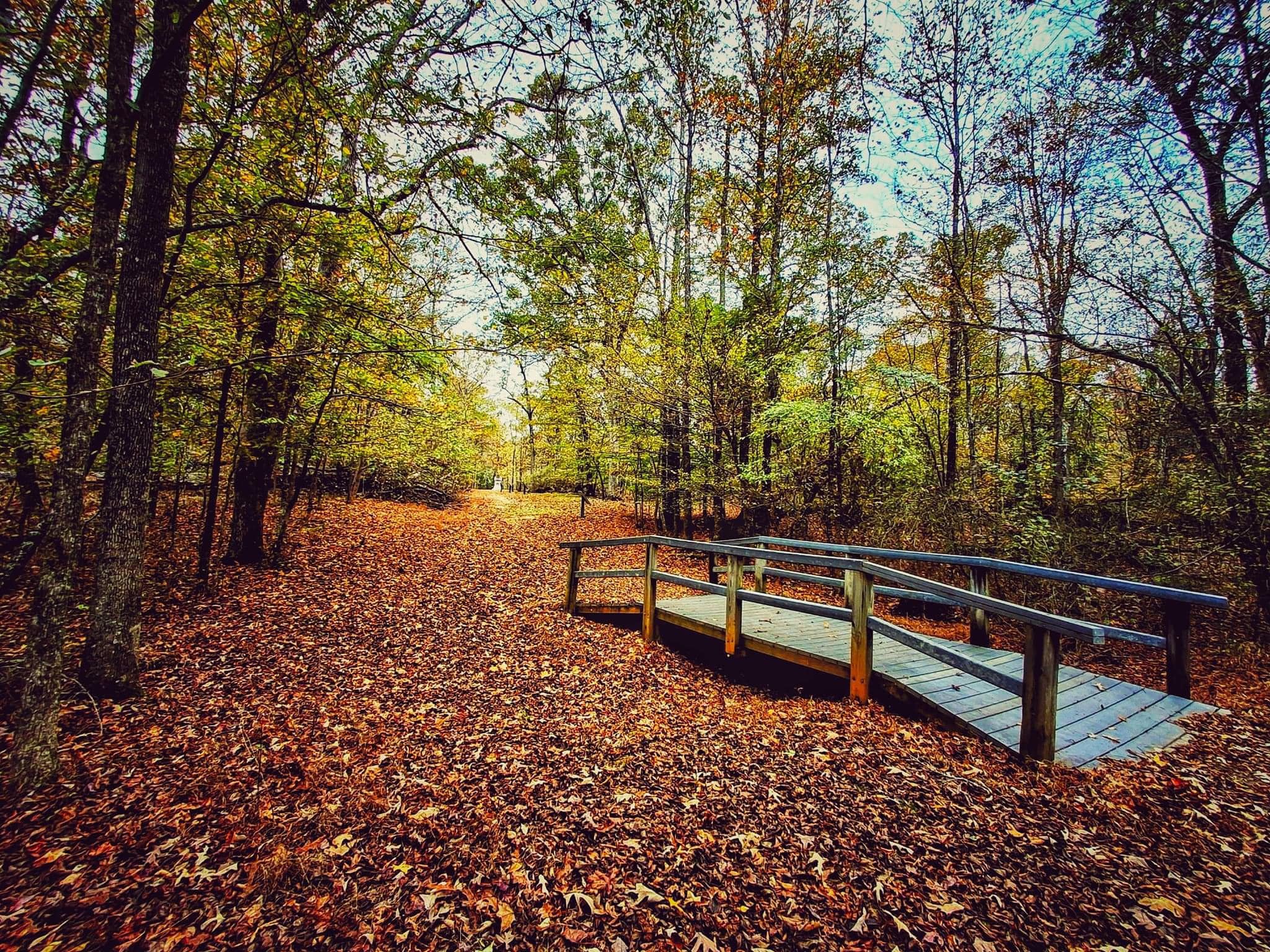 Great Sunken Road/Hornets Nest photo from Perry in the Shiloh