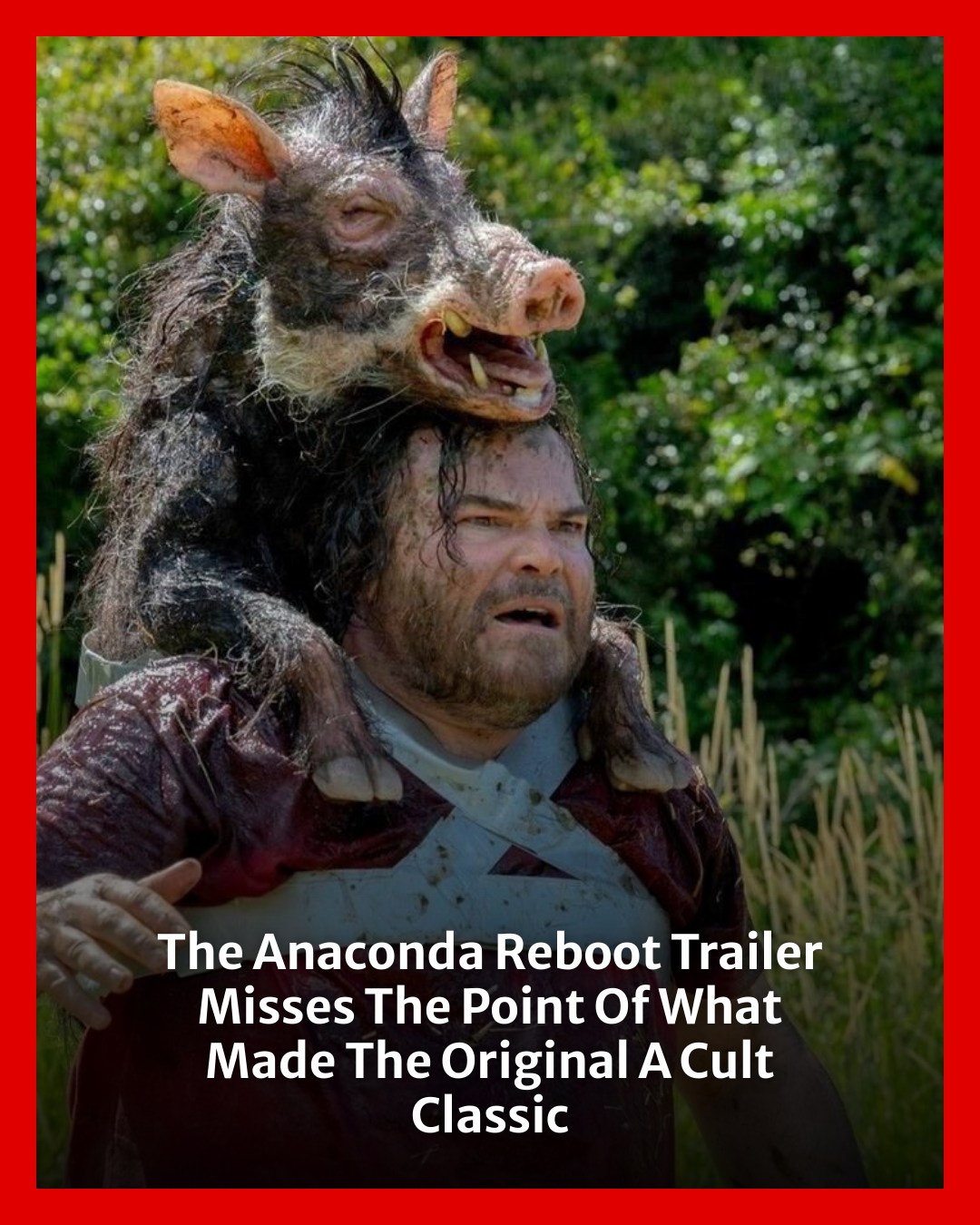 Horror - As amusing as the idea of Jack Black and Paul Rudd starring in ...
