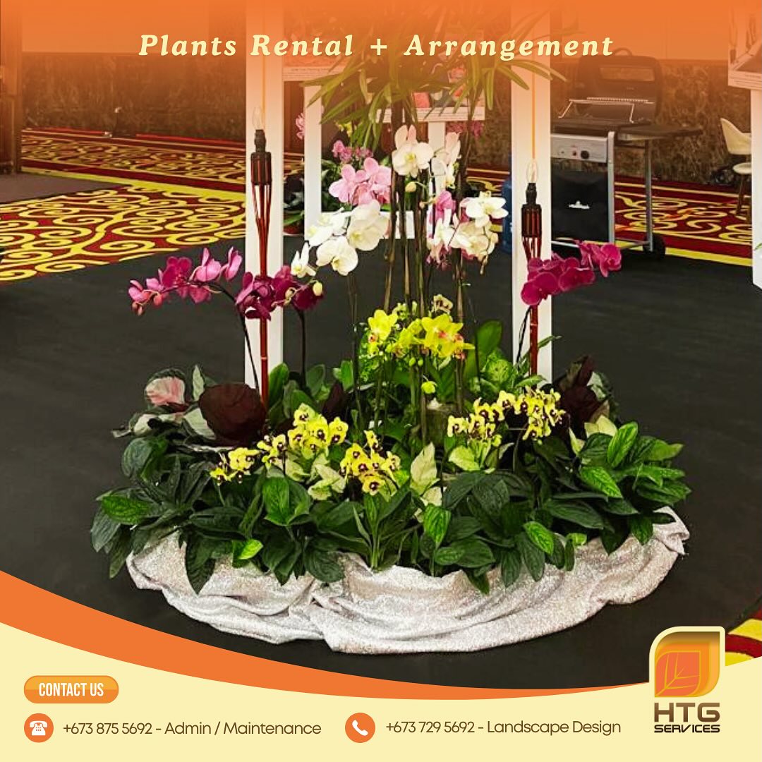 HTG Services Brunei