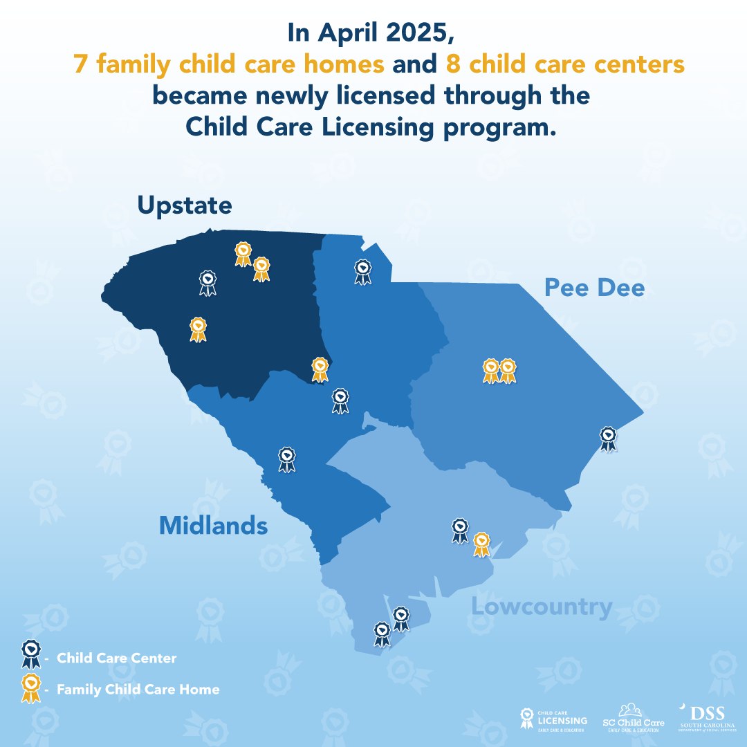 South Carolina Department of Social Services