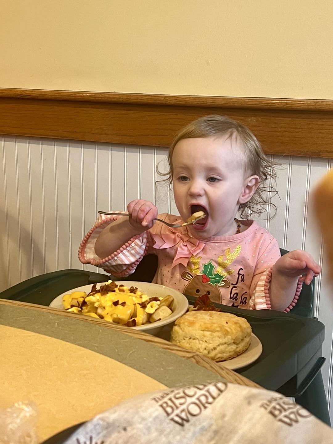 Tudor's Biscuit World of Ravenswood | Ravenswood WV