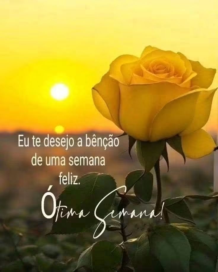 ?media_id=1101623379398923