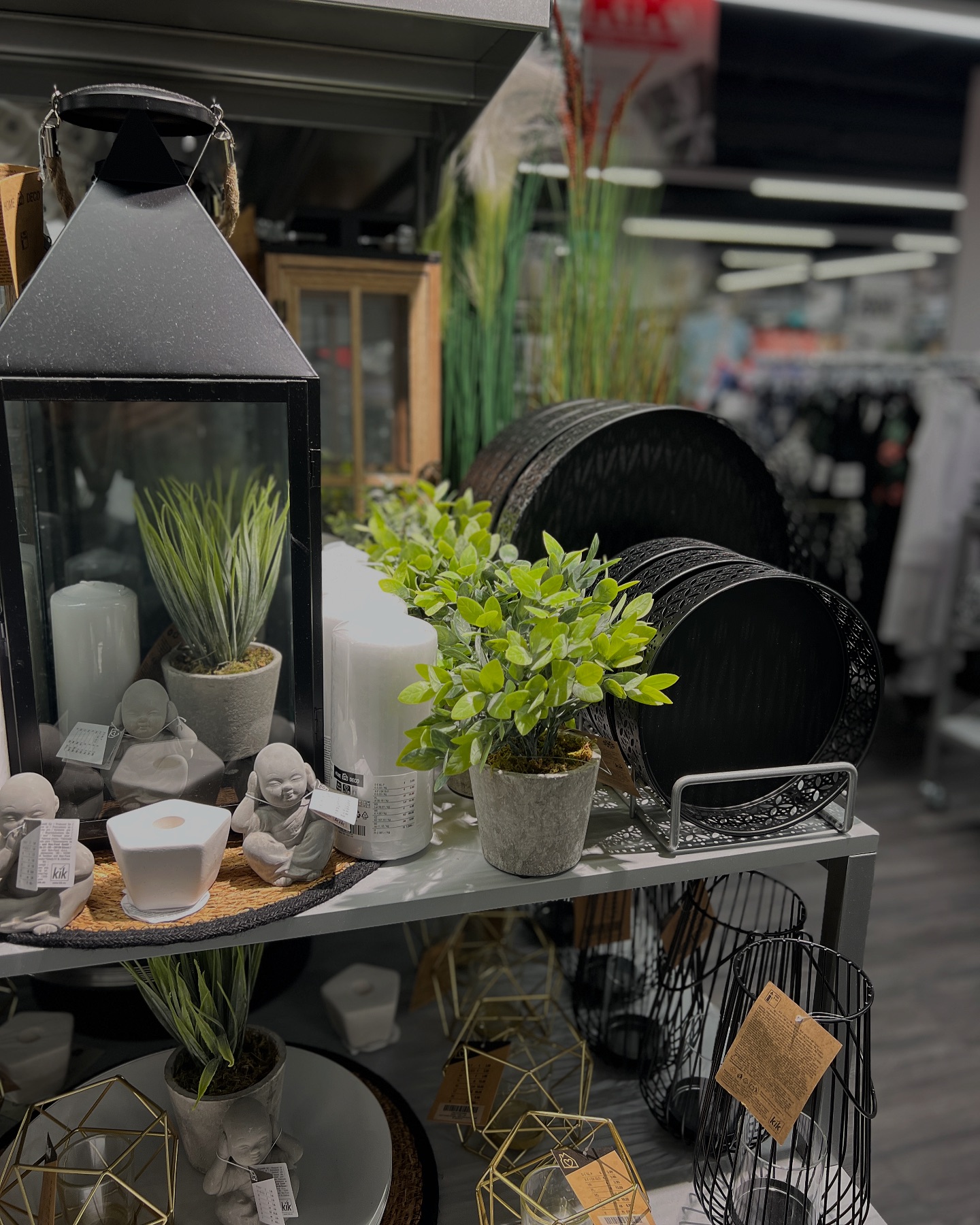 Es wird tropisch in unseren Filialen 🌴 Sichere dir jetzt wieder unsere Deko, um ein bisschen Dschungel-Feeling nach Hause zu holen ☀️ #mehralsdudenkst #sooovielmehralsdudenkst #deko #homedecor