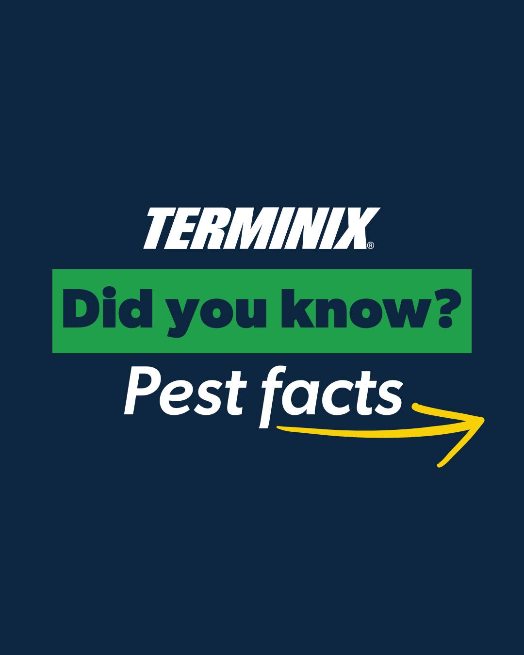 Terminix