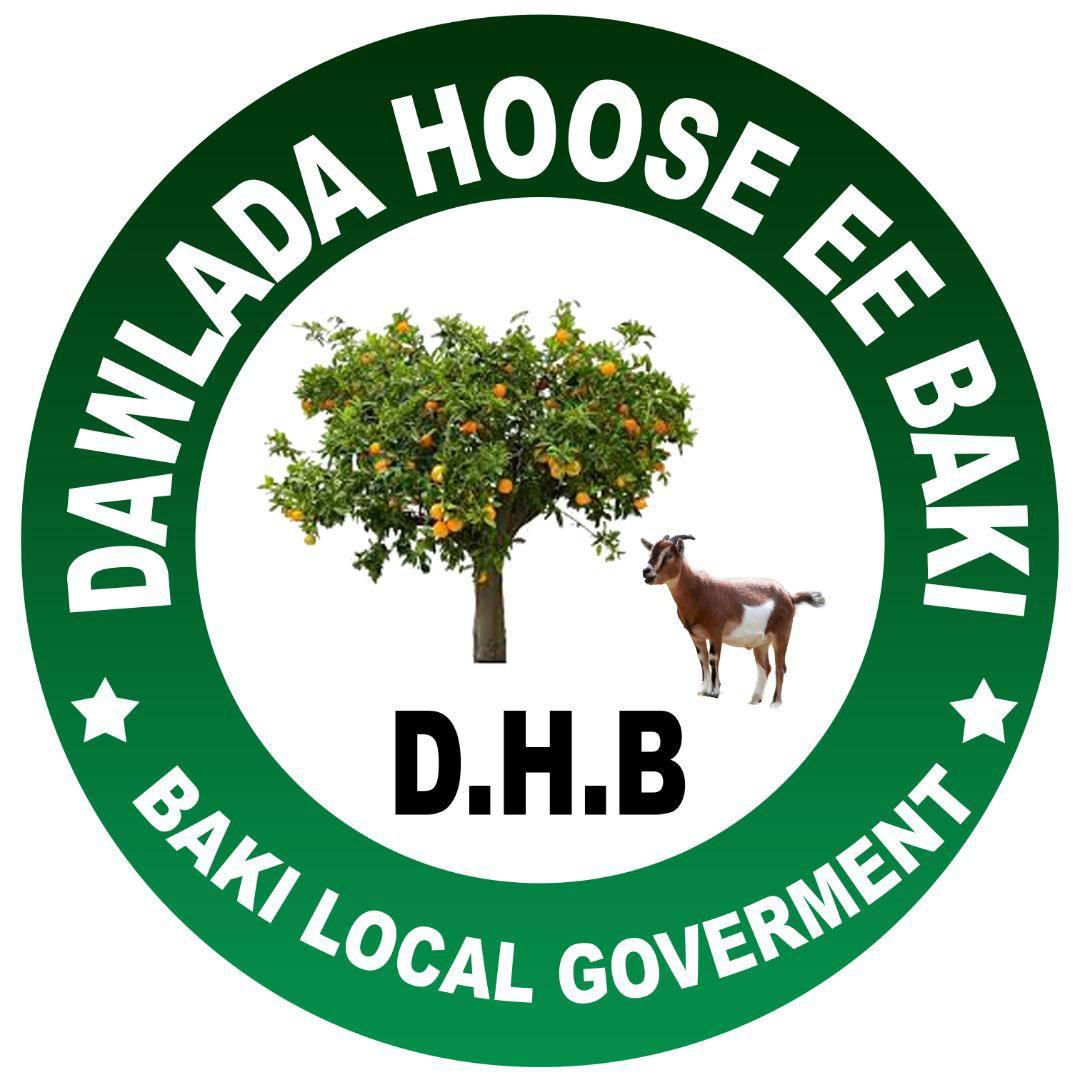 Dawlada Hoose Degmada Baki