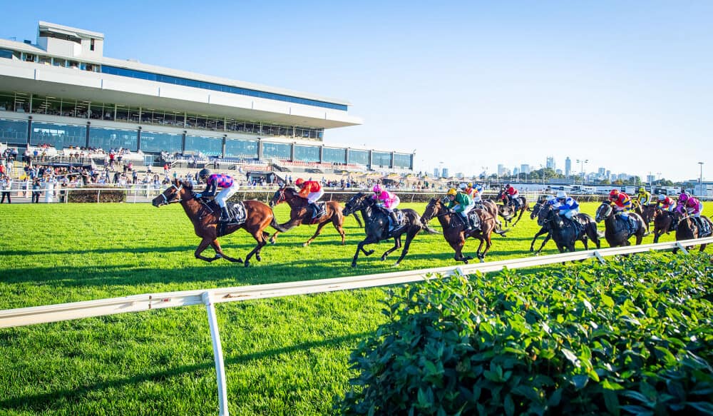 Perth Racing - Need a ride to TABtouch Perth Cup Day on Saturday 4 ...