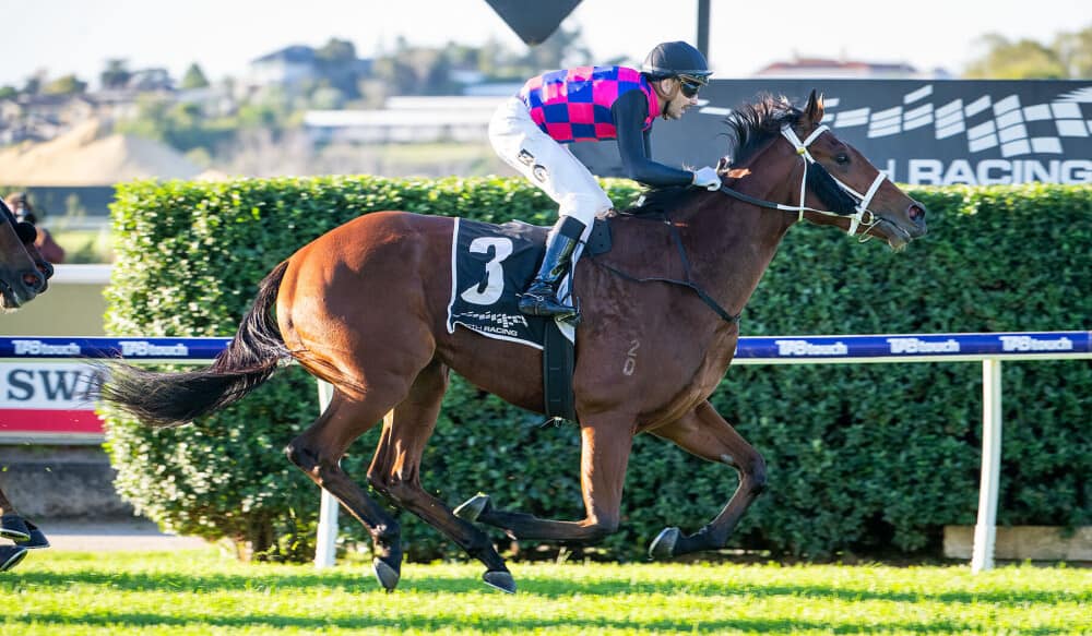 Perth Racing - Need a ride to TABtouch Perth Cup Day on Saturday 4 ...