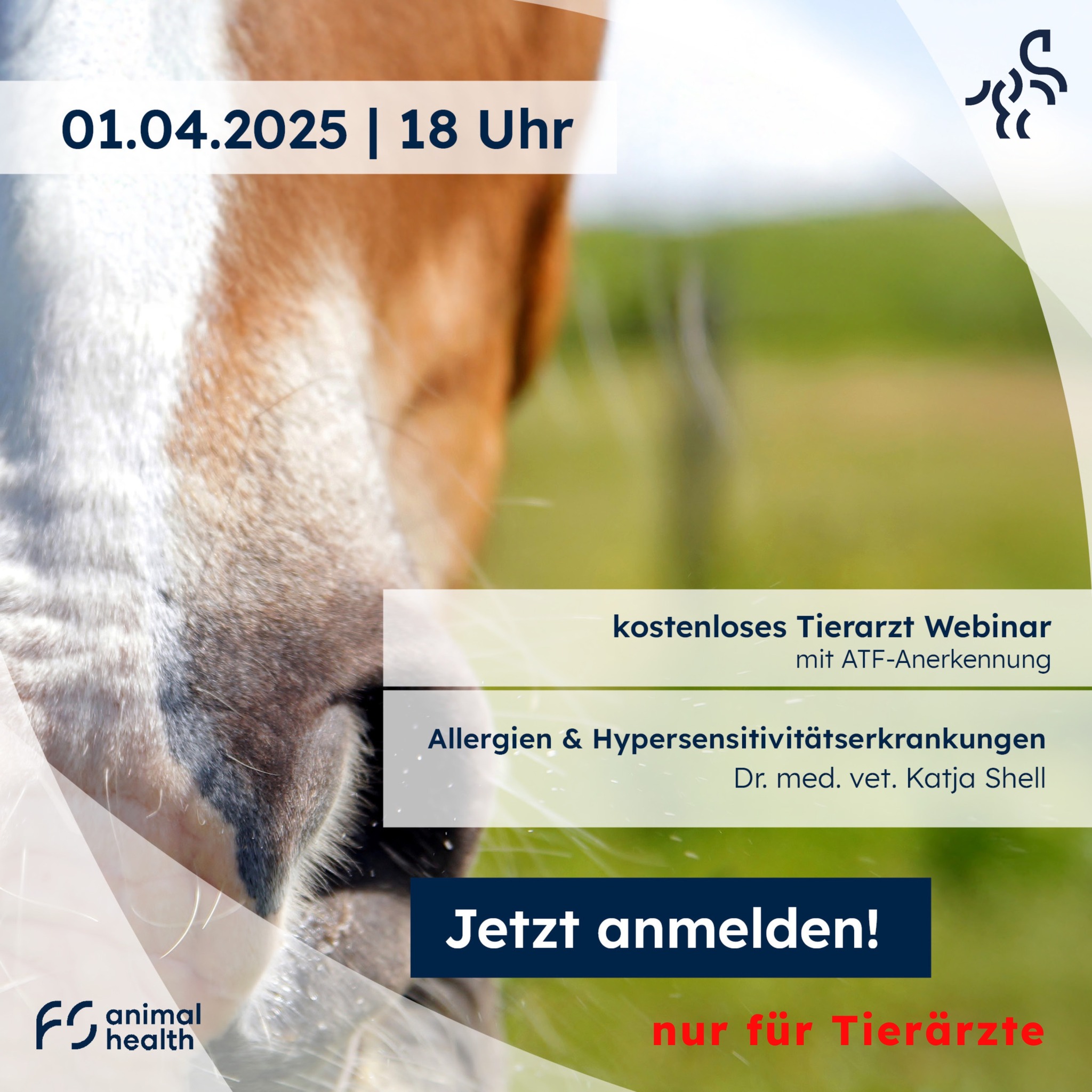 📢 Exklusives Webinar für Tierärzte –... - FS animal health | Facebook