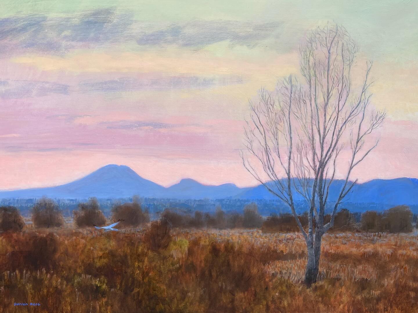 Darren Rees Artist