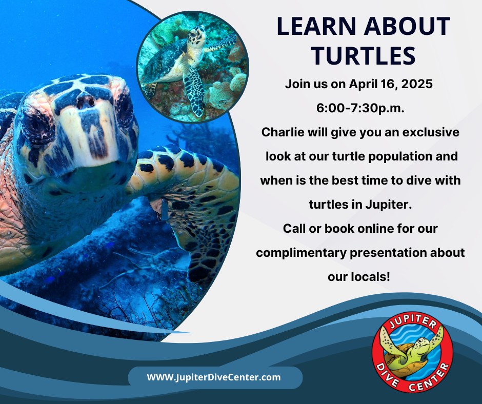 Jupiter - Learn about the locals.. Turtle Talk with Charlie.. Join our ...