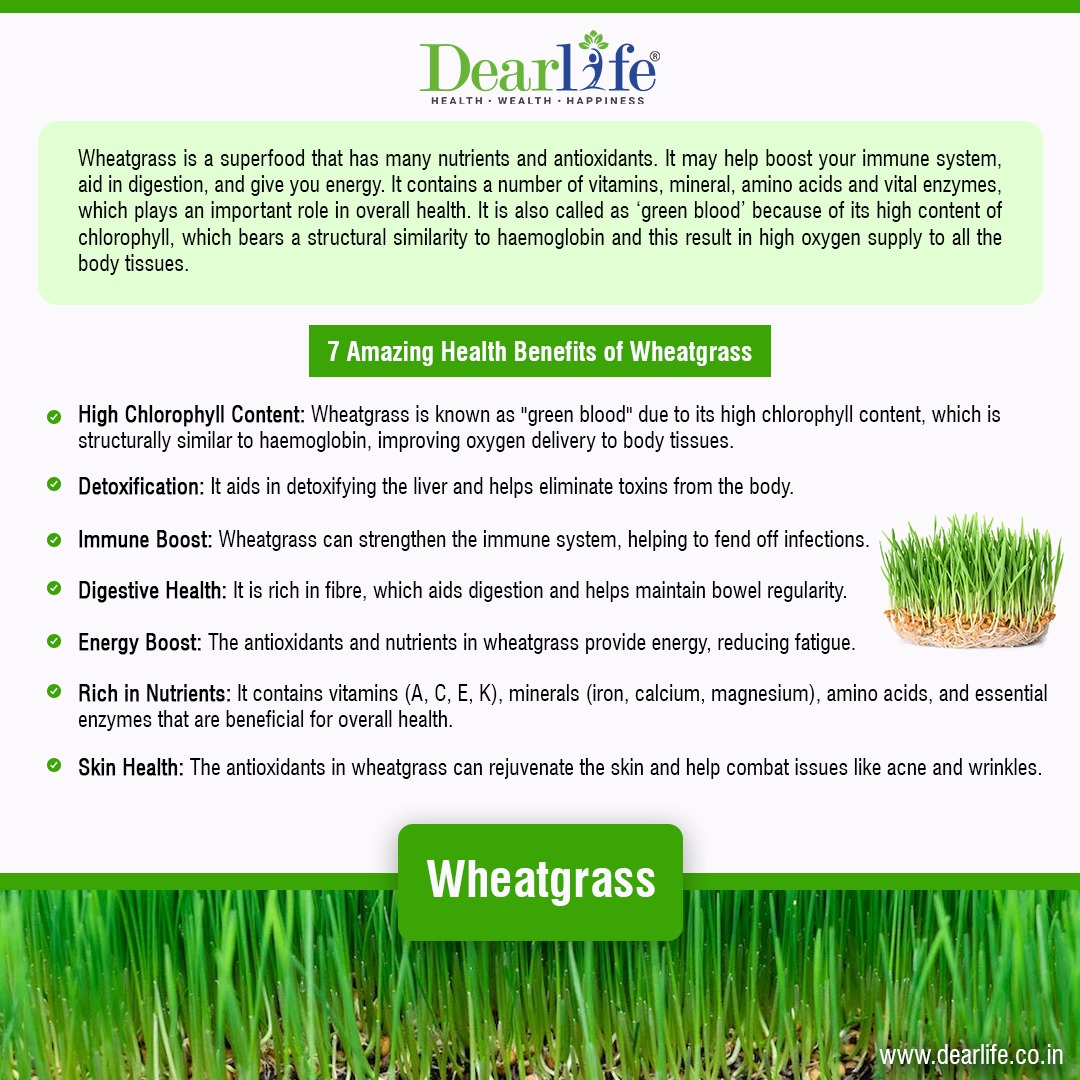 Wheatgrass is a tonic for your skin. It is helpful in boosting the immune system and helping you in warding off or controlling skin disorders in monsoon. A healthy immune system is
