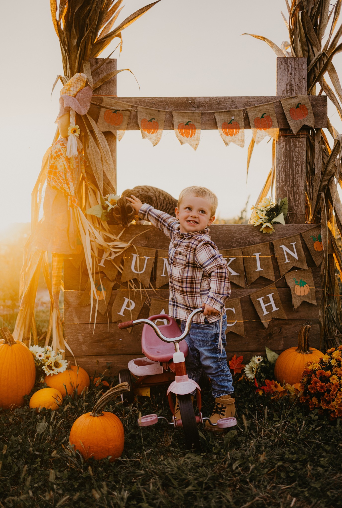 🍂 There’s Still Time for Fall Photos... - Autumn Ridge Farm | Facebook