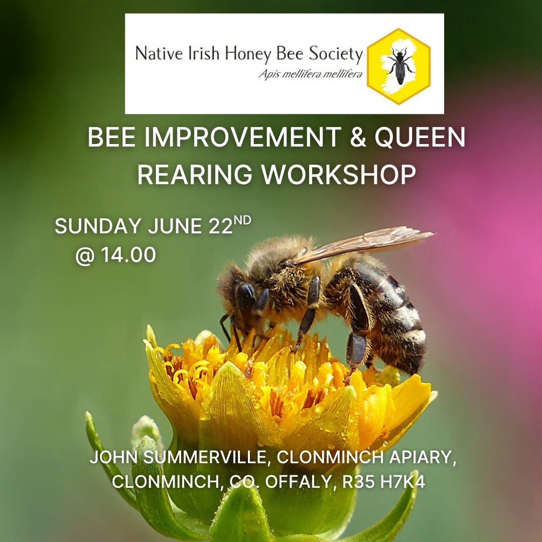 galtee-honey-farm