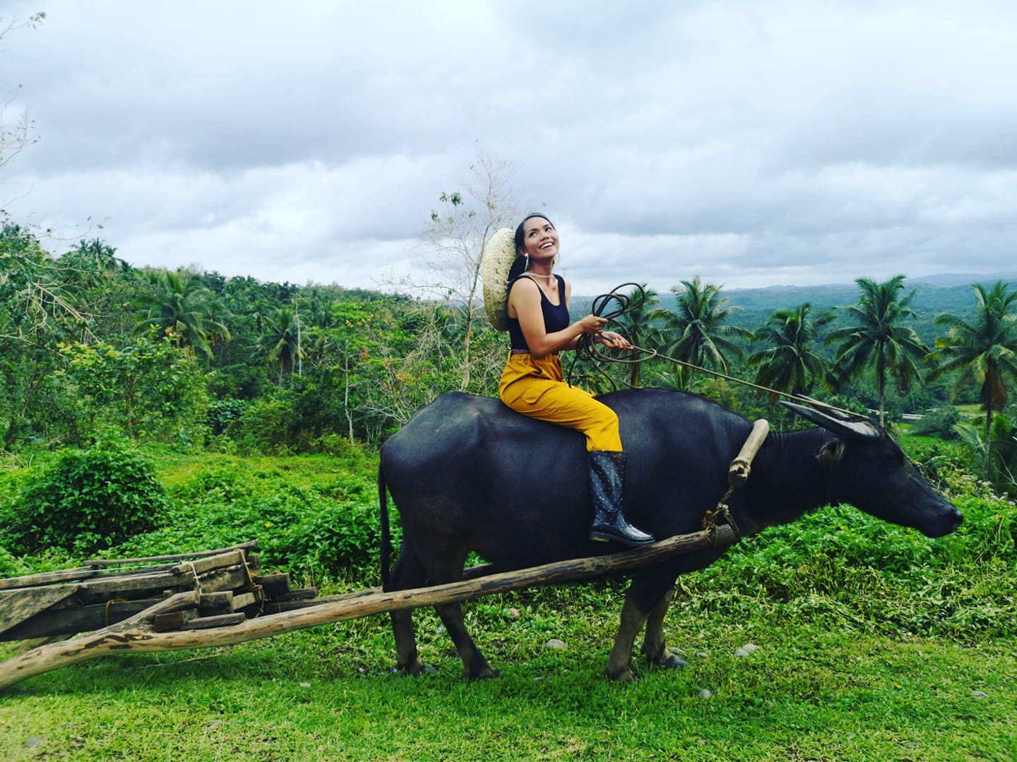 Crislyn E. Villasis