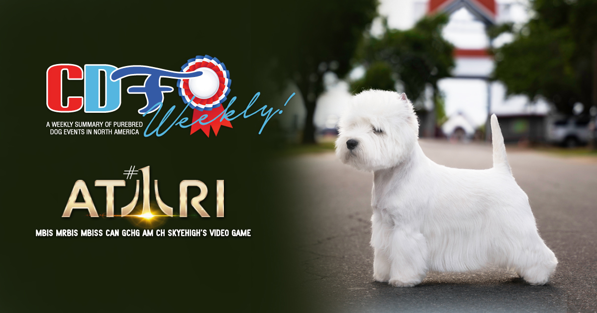 Canadian - CDF Weekly | Your Summary of Canadian Dog Events REVISED ...