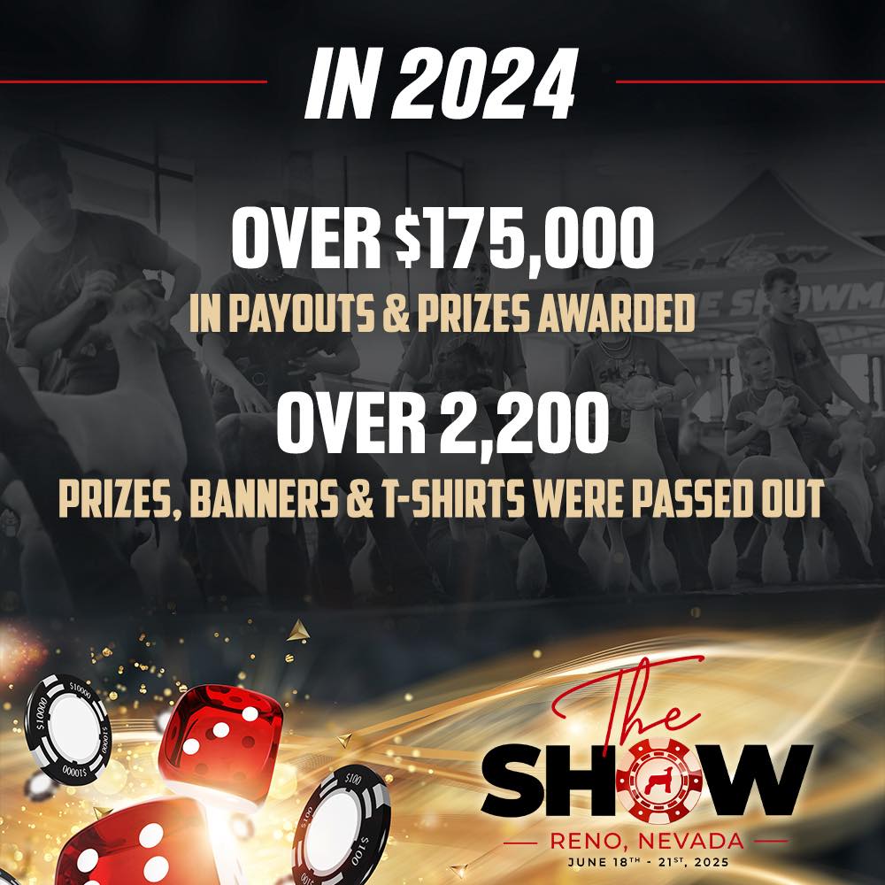 The Show Reno | Reno NV