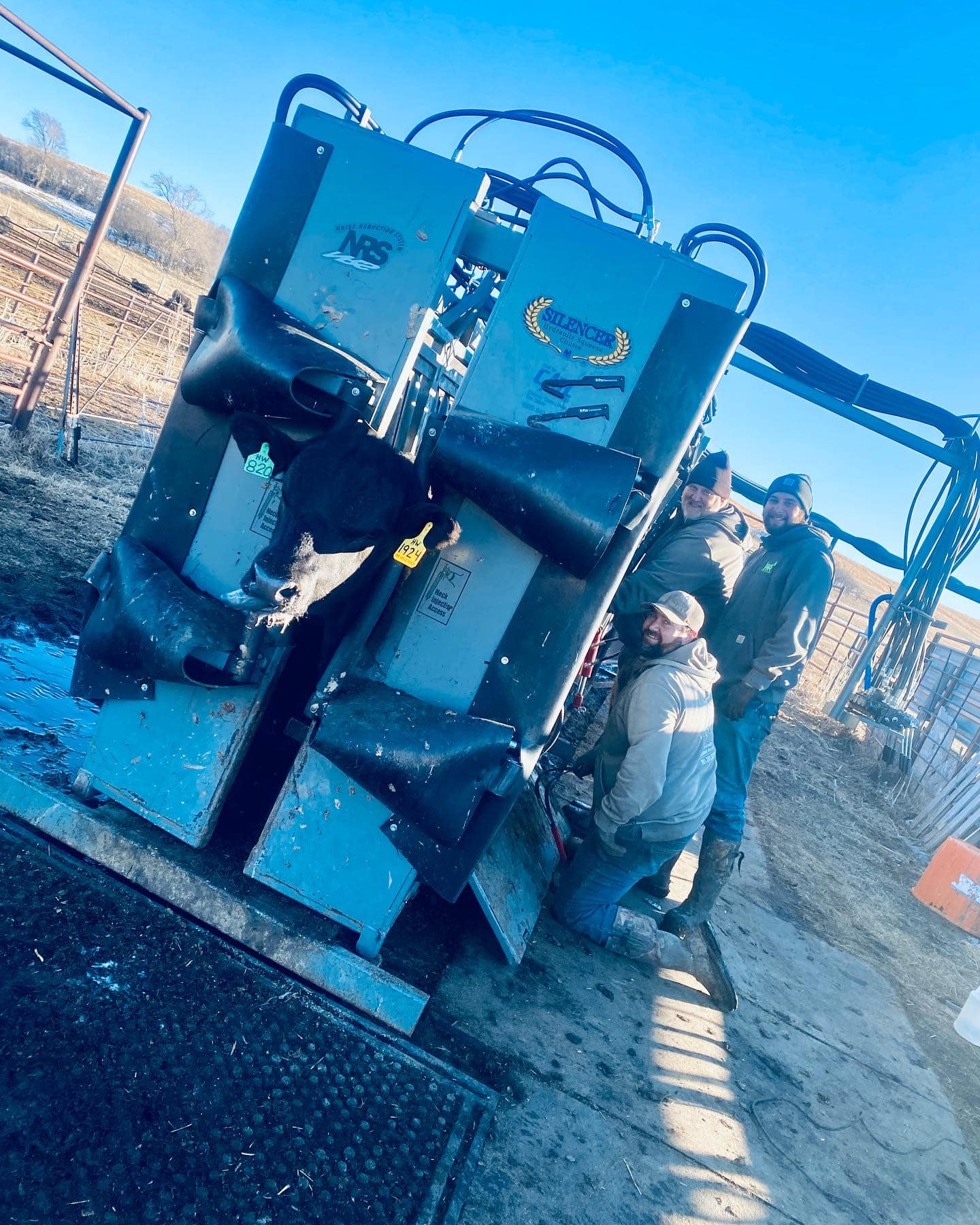 RWR Angus Ranch | Harvey ND