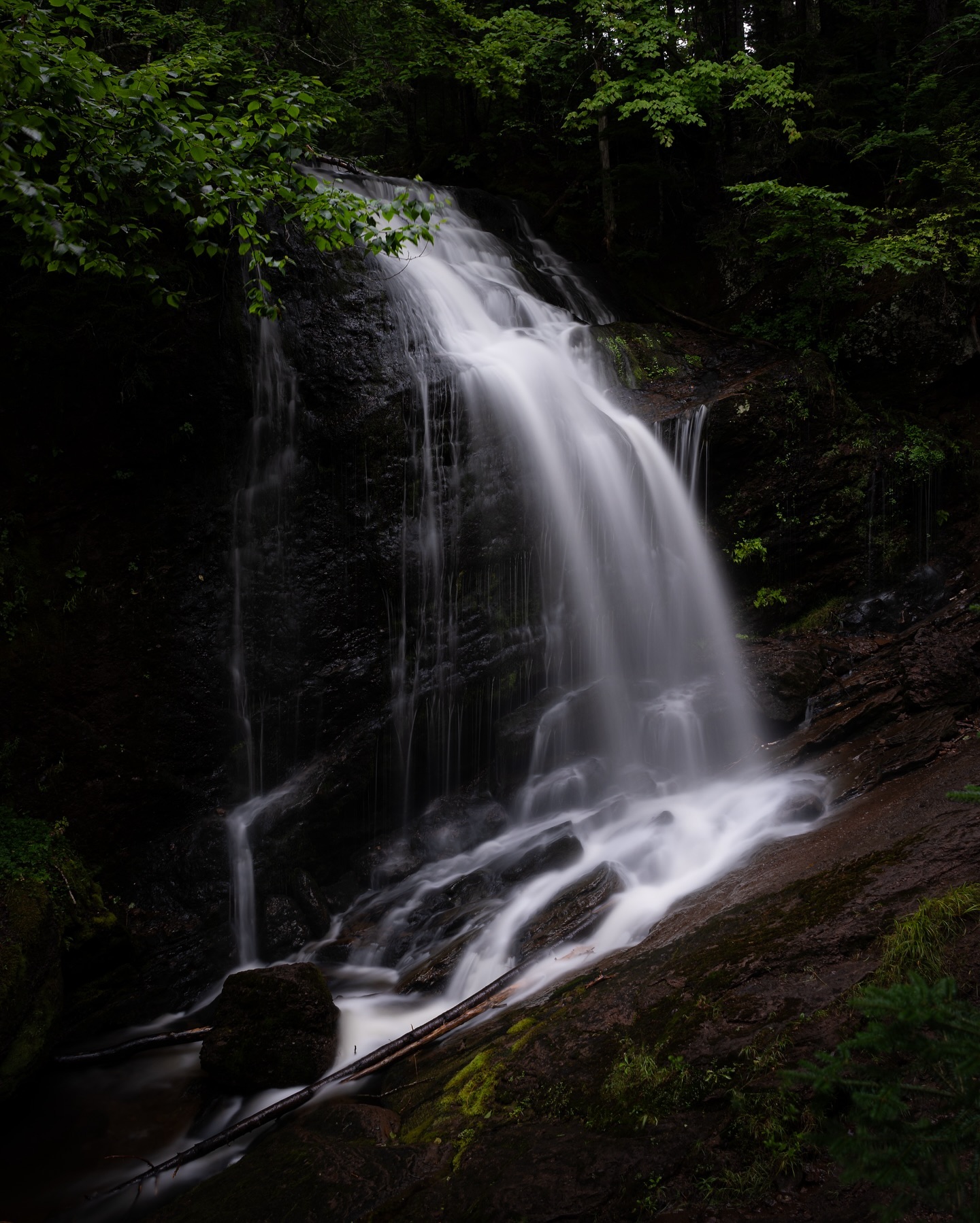 Sentier - How much do you know about the Fundy Trail Provincial Park ...