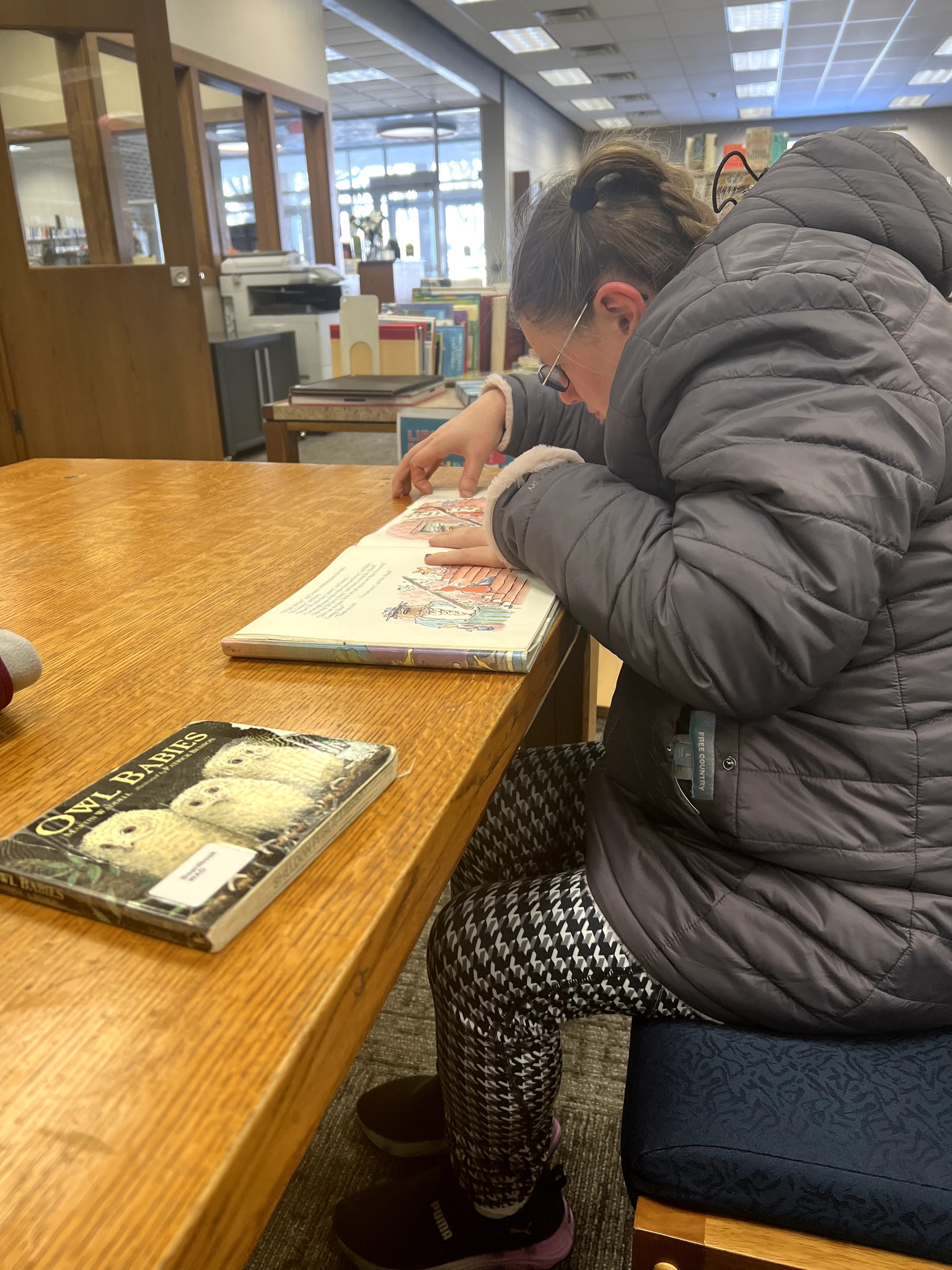 Sheldon Public Library | Sheldon IA