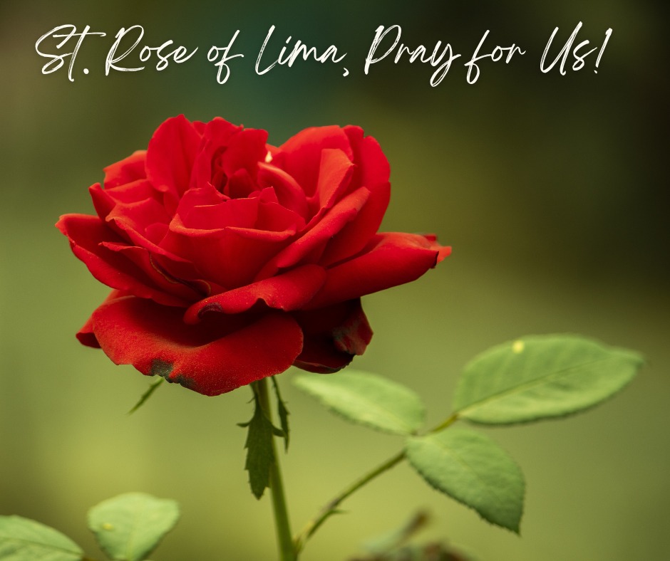 Today we celebrate the feast... - Spencer Sacred Heart Parish | Facebook