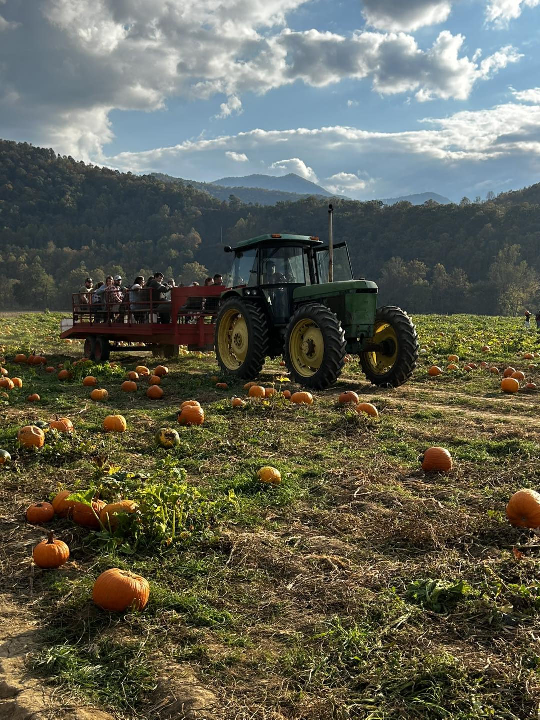 Darnell - 🎃🚜 Hayride to the Pumpkin Patch – Walk-Ins Only! 🚜🎃 Join us ...