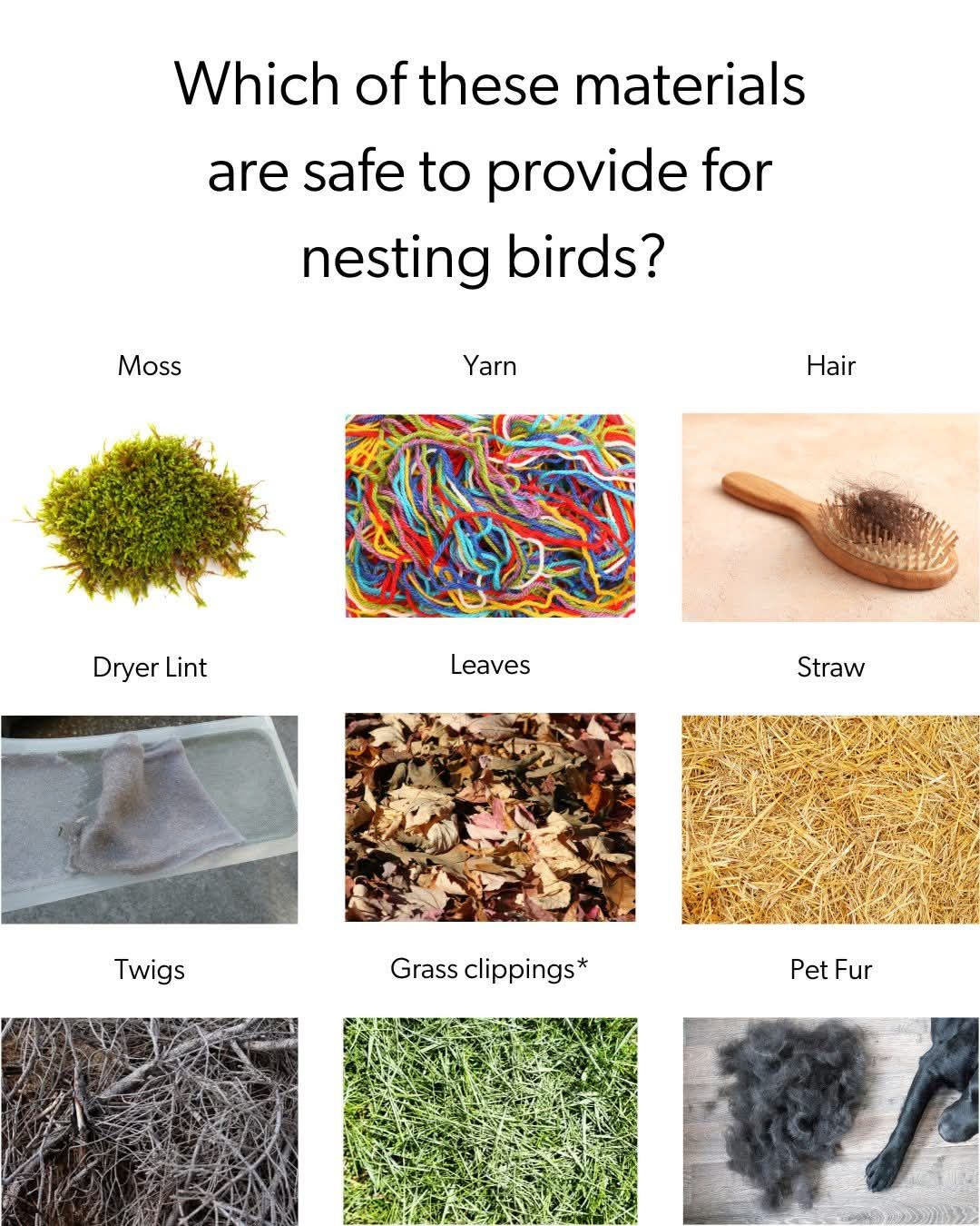 Help Save Our Hummingbirds HSOH - Twigs, grass, straw and moss, but ...
