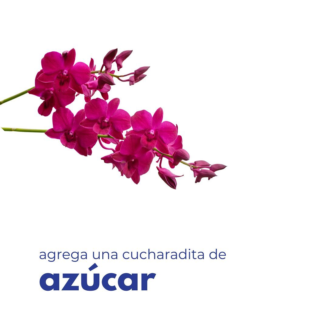 Safrax - Dióxido de cloro Clo2 | Medellín
